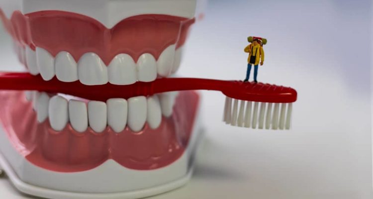 Farvel Bemærk venligst Napier Over Brushing Teeth - Can You Cause Damage by Brushing Too Much?